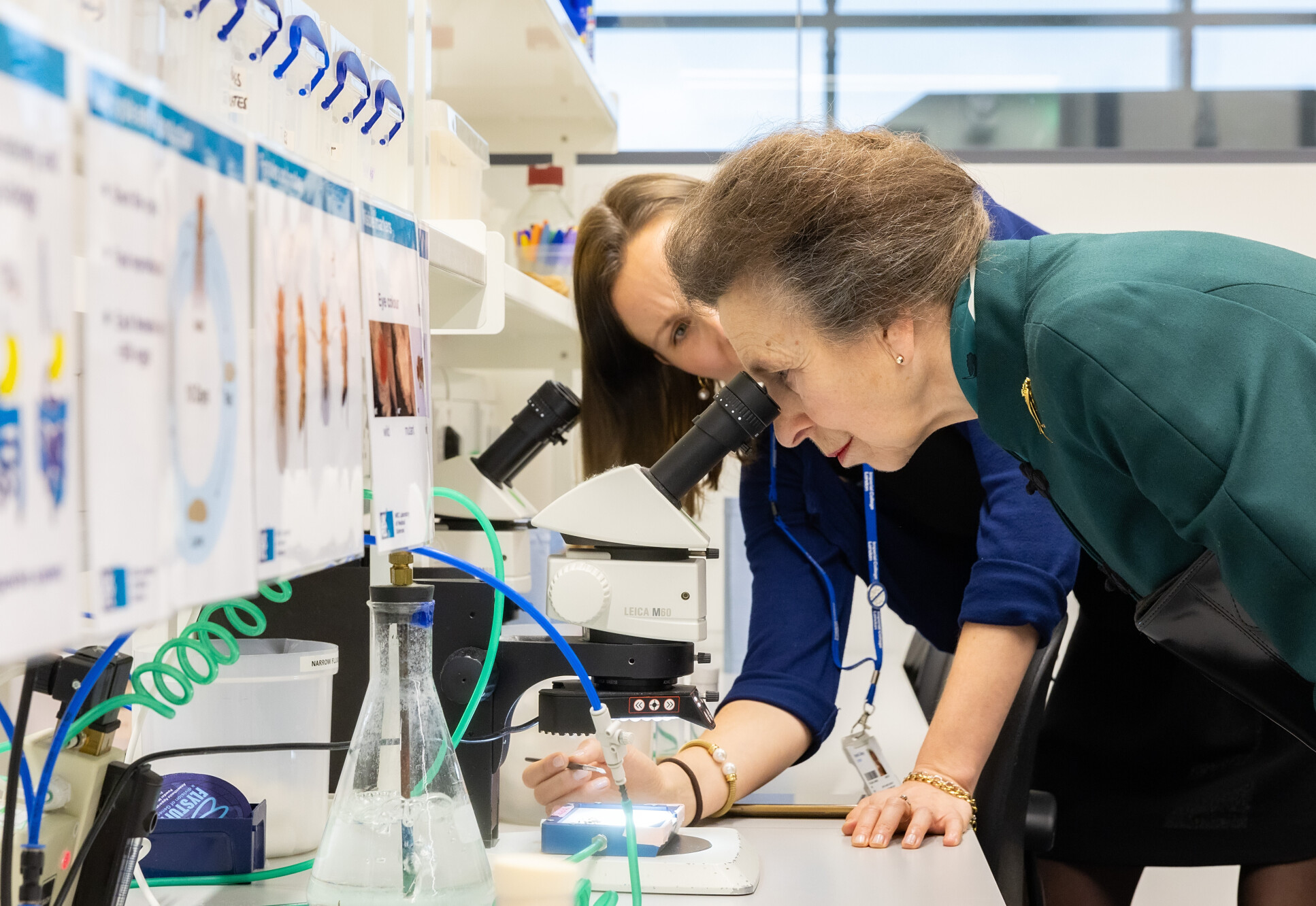 HRH looking at fruit flies with post doctoral researcher Claudia Lennicke