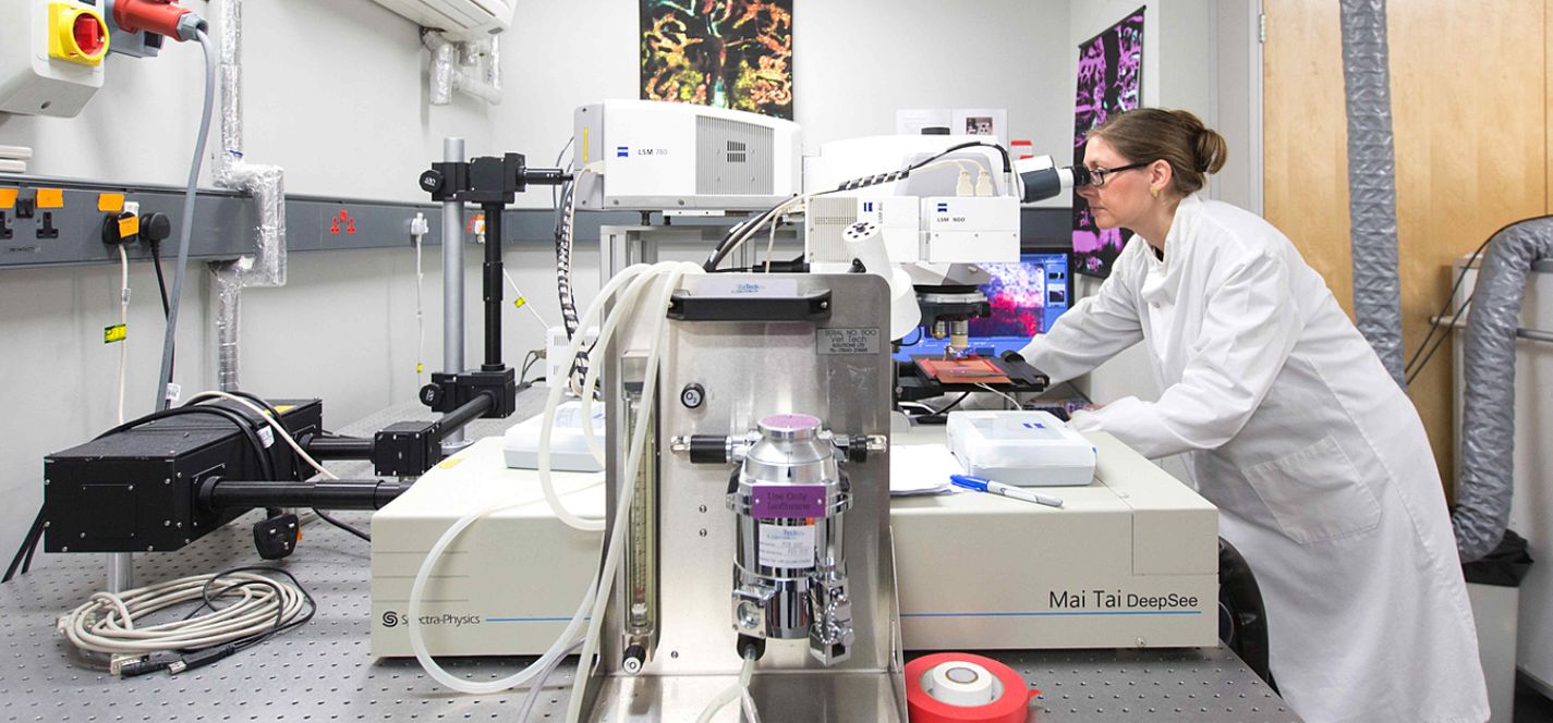 Dr Christina le Celso studying blood stem cells using a microscope in a lab